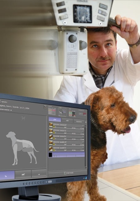 veterinary-software-market
