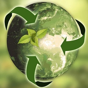 Environment & Sustainability