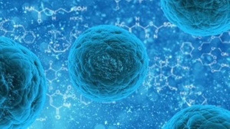 allogeneic-stem-cell-market