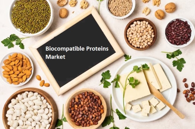 Biocompatible proteins market