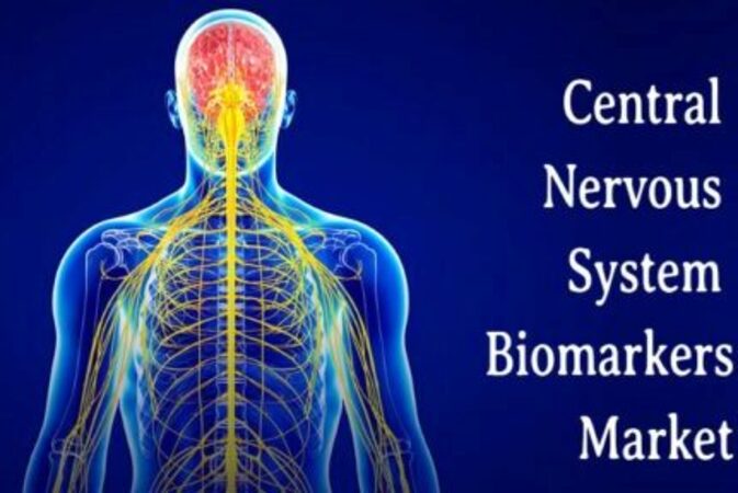 central-nervous-system-cns-biomarkers-market