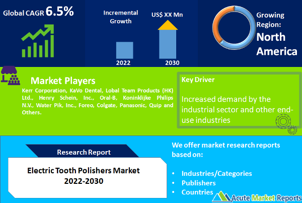 Electric Tooth Polishers Market