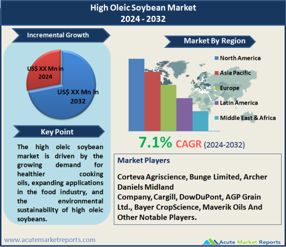 High Oleic Soybean Market