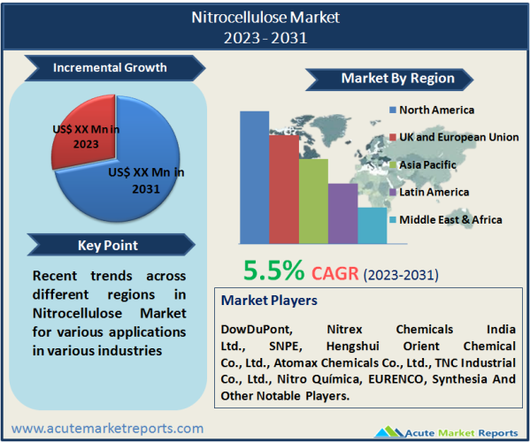 Nitrocellulose Market