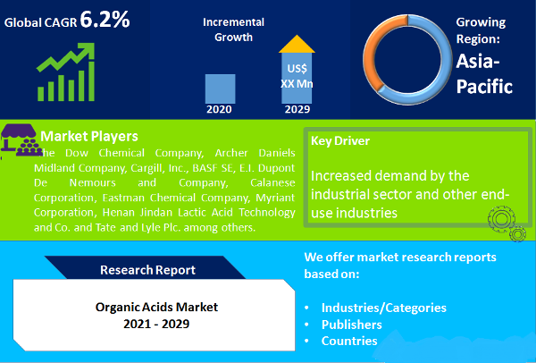 Organic Acids Market