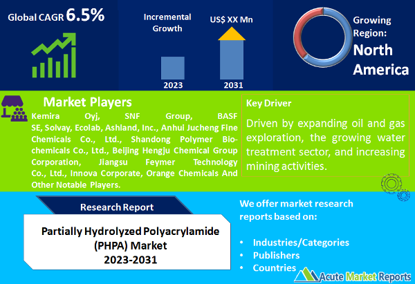 Partially Hydrolyzed Polyacrylamide (PHPA) Market