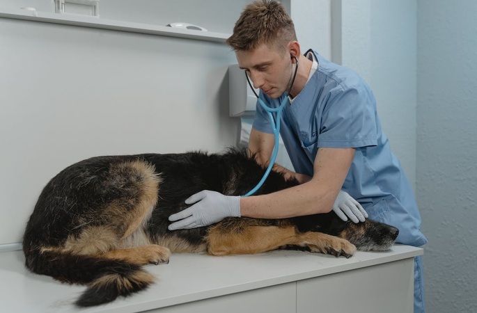 pet-care-market