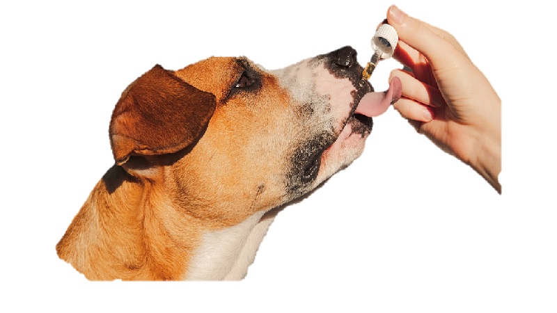 pet-dietary-supplements-market