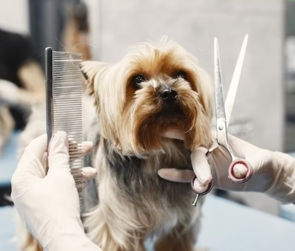 pet-grooming-services-market