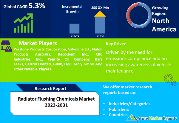 Radiator Flushing Chemicals Market