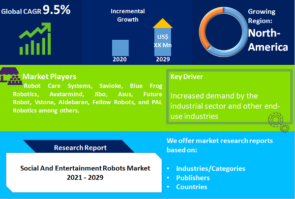 Social And Entertainment Robots Market