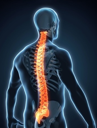 spine-biologics-market