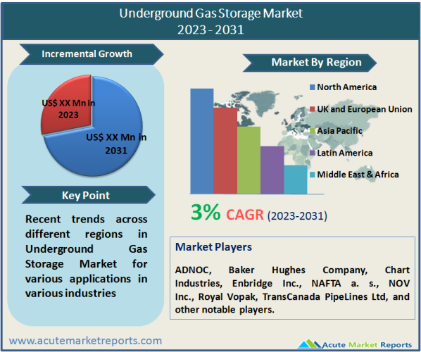 Underground Gas Storage Market