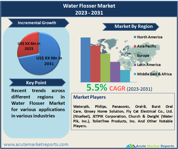 Water Flosser Market