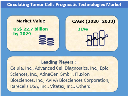 Circulating Tumor Cells Prognostic Technologies Market