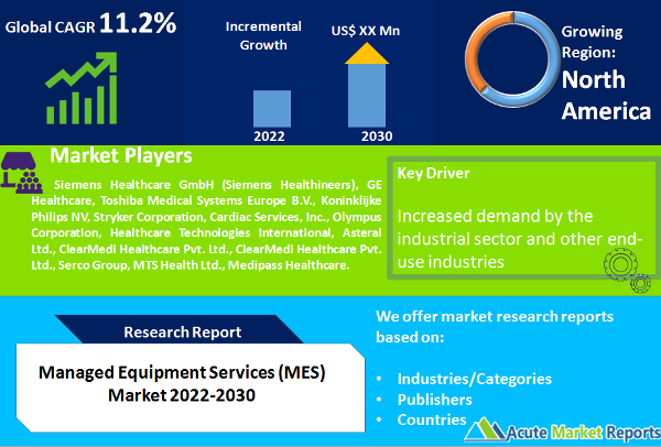 Managed Equipment Services (MES) Market